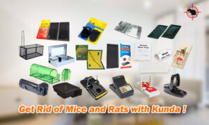 mouse trap supplier